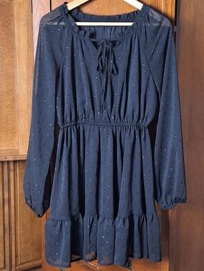 Black Shimmer Swiss Dot V Neck Tie Sheer Sleeve Flowy Mini Dress